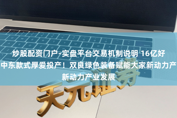 炒股配资门户-实盘平台交易机制说明 16亿好意思元中东款式厚爱投产！双良绿色装备赋能大家新动力产业发展