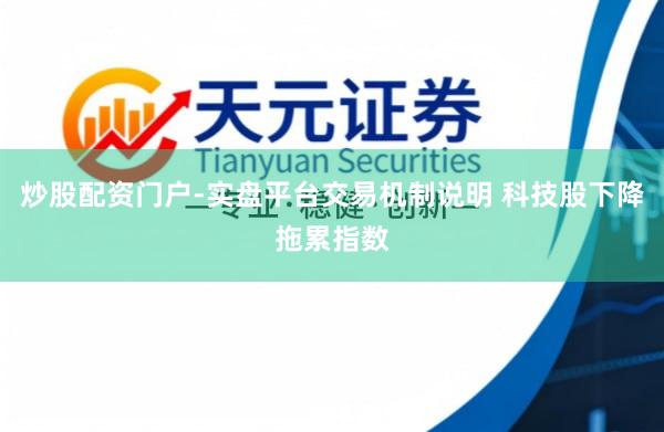 炒股配资门户-实盘平台交易机制说明 科技股下降拖累指数