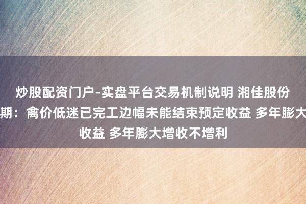 炒股配资门户-实盘平台交易机制说明 湘佳股份募投边幅脱期：禽价低迷已完工边幅未能结束预定收益 多年膨大增收不增利