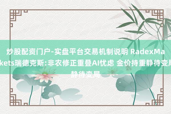 炒股配资门户-实盘平台交易机制说明 RadexMarkets瑞德克斯:非农修正重叠AI忧虑 金价持重静待变局