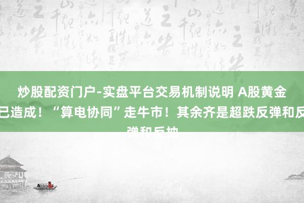 炒股配资门户-实盘平台交易机制说明 A股黄金坑已造成！“算电协同”走牛市！其余齐是超跌反弹和反抽
