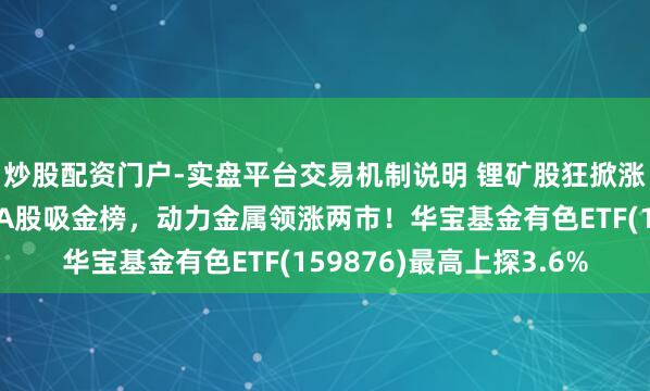 炒股配资门户-实盘平台交易机制说明 锂矿股狂掀涨停潮！赣锋锂业登顶A股吸金榜，动力金属领涨两市！华宝基金有色ETF(159876)最高上探3.6%